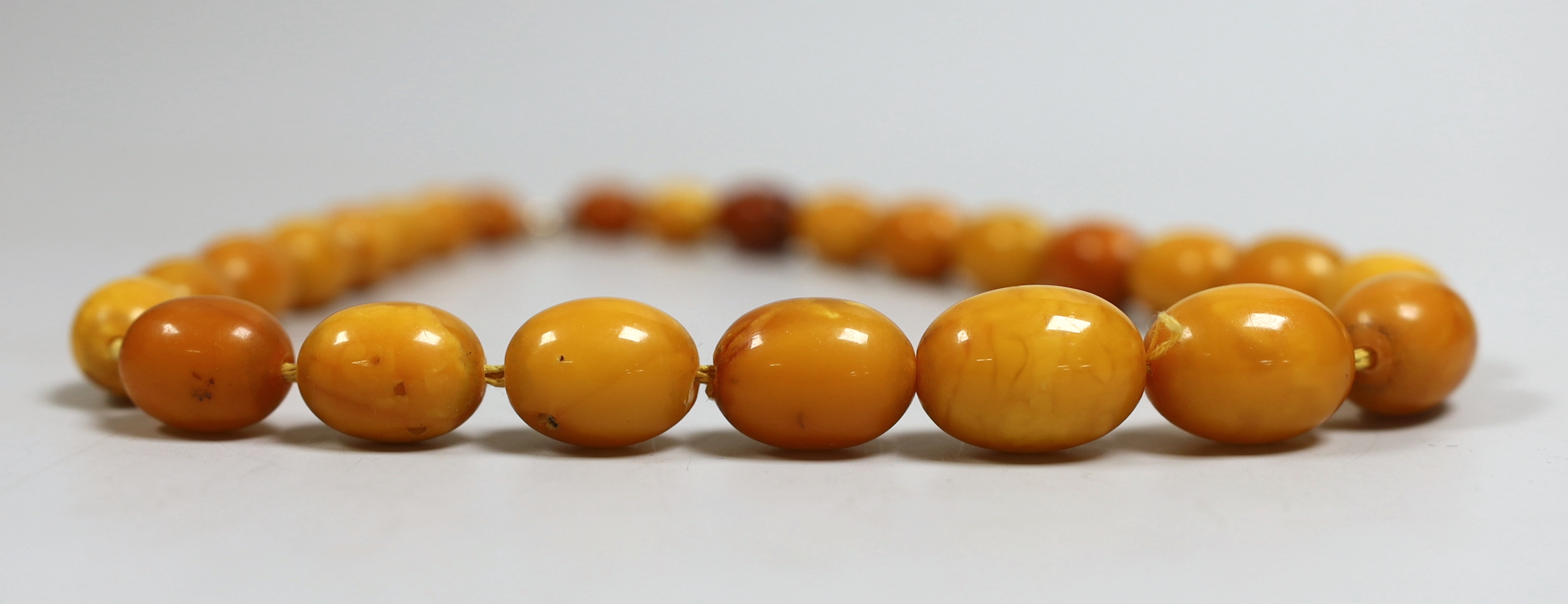 A single strand graduated oval amber bead necklace, 46cm, gross 51 grams.